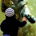 ����� �������