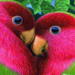 ���� ��� ����������