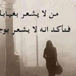 ��� ����� .. ���� ������ �� ������� �� ���� ���