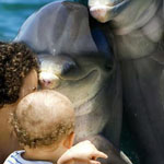 ����� ������