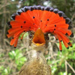 ���� ���� ������ ������ ����� ������ ���� ��� ����� ������