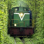 ��� ���� ���������