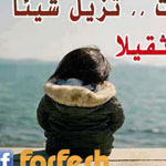 ������ ���� ������