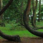 ���� ������ ����� �� ������ ��� ���� ��� ����� ���� �����