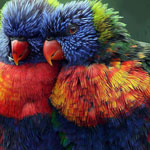 ����� ����� ������