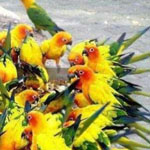 ������ ���� ����� ��� �����! .. 