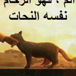 ������� �������� ������ ������� �� ����� ������