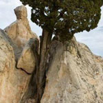 ���� ����� ���� ��� ����