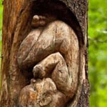 �� ����� ��� ������� !