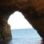 ���� ����� ������� ��� ���� ������� �...