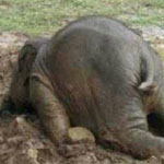 ����� ������� ������ ���� ���� 