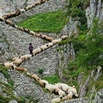 ���� ������ ������� �� ��� ��� ��� ��� ��� ���� 