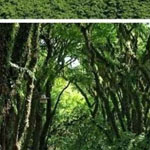 ���� ������� �� �������� ��� �� ����� ����� ������ ��������� 