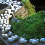 ���� ���� �� ������� ����� ������� ��������