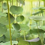 ���� ������ �������� !