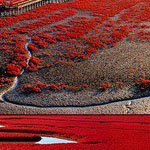 ������ ������ � ������ - �����