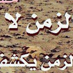 ����� 100%