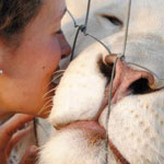 ����� �� ��� ���� ������� �� ���� ��� ��������� ��������