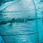 ���� ����� ������ ���� ��� �����