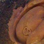 ��� �����  ����� ����� ���� �������