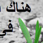 ��  �� ���� ���� ������ ���� ������ �����