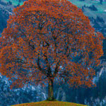 ������ ����� �� ���� ����� �� ������ . .