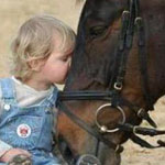 ����� ���� ��������� ������ ������