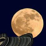 ���� ����� �� �������