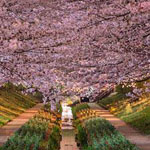 ���� ����� ������ ����� �� ����� �������� ���������