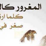 �� ���� ��� ������� �� ��� ��� ���