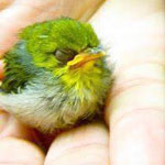 ������ ������ ������ � ������ �� ��� ����� 