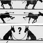 �� ������� ���