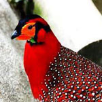 ���� ����������.