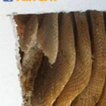 ������� ���� �� ����� ���� ��� ���