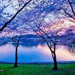 ����� ������_ ���������� _ �������.