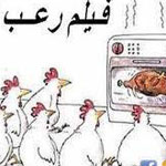 ���� ���....�����