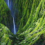 ����� ����� ����� � ������