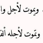 ����� ���� ����� ������ ����� !!