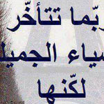 ���� ����� �� �� ����