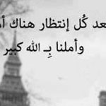 ����� ������ ���� �����