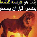 �� ���� �������� ��� ��� ...