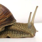 ������ ������� �� ���� 3 ����� ��� ����� !!