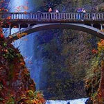 ���� ����� �� ������ ��������� � ����� ������� ���������