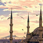 ���� ���� ����� - �������  .