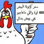 �����������������