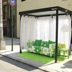 ����� ... ���� ���