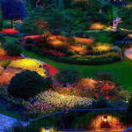 ����� ������� ������� �� ����� �������� ����