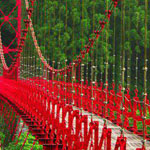 ����� ������ �� �������