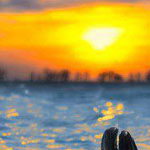 �������� ��� ������