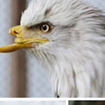 �� ����� ����� ������� ������ ��� �����